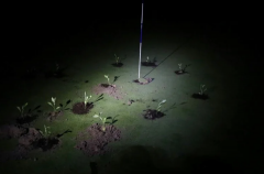 Spanish golf courses