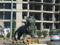 1371 10151530308343362 1676312854 n