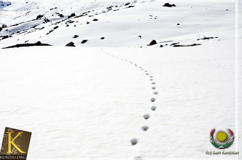 The Beautiful Nature of Kurdistan